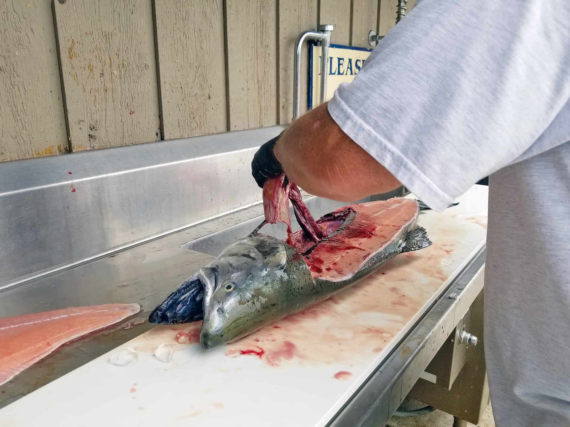 fish cleaning tables