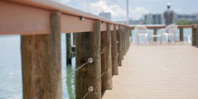 Wood piling along a dock.