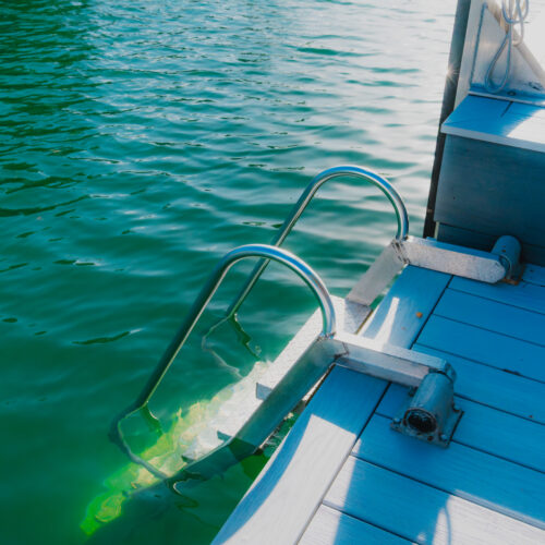 dock ladder