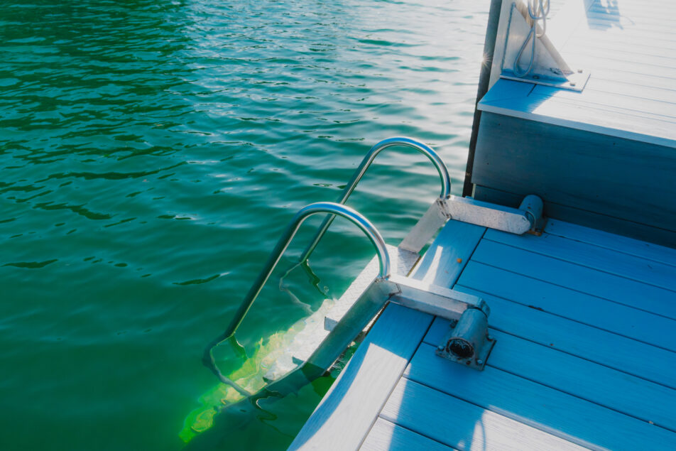 dock ladder