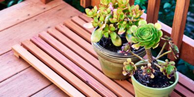 protect deck from potted plants, How to Protect Your Deck From Potted Plants