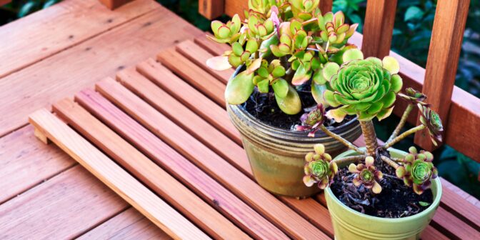 protect deck from potted plants