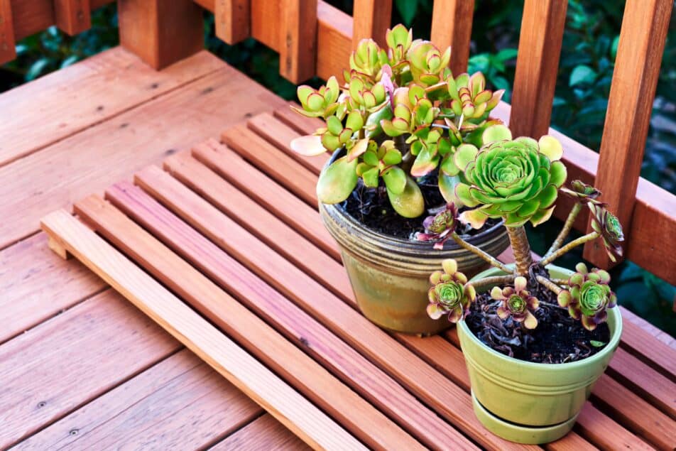 protect deck from potted plants