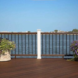 Trex decking in Spiced Rum. Trex Transcend Railing. , Lighting & Railing